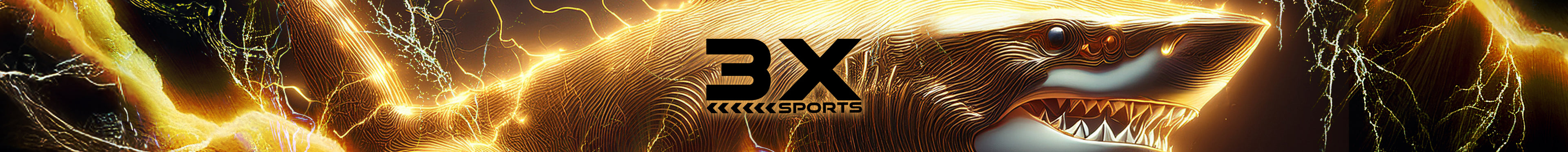 3X-SPORTS ブランドの世界観を象徴するグラフィックアート。トライアスロンの覇者をイメージした装飾ロゴデザイン