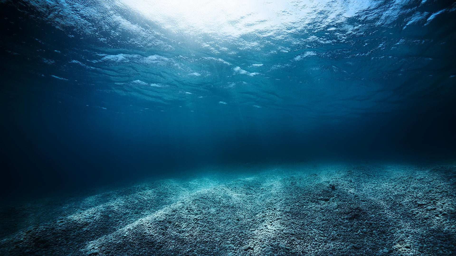 トライアスロンスイム背景